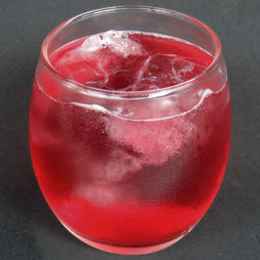 KOMBUCHA